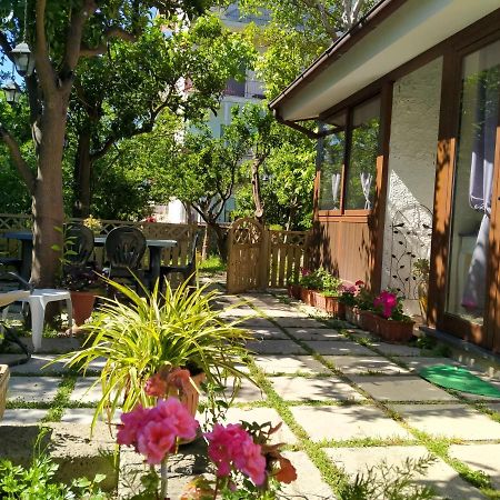Bed and Breakfast Villino L'Aranceto Sorrentino Meta Exterior foto