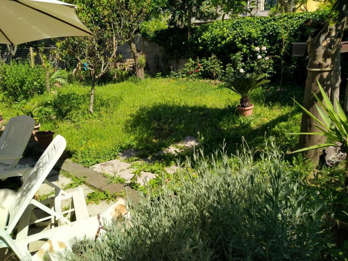 Bed and Breakfast Villino L'Aranceto Sorrentino Meta Exterior foto