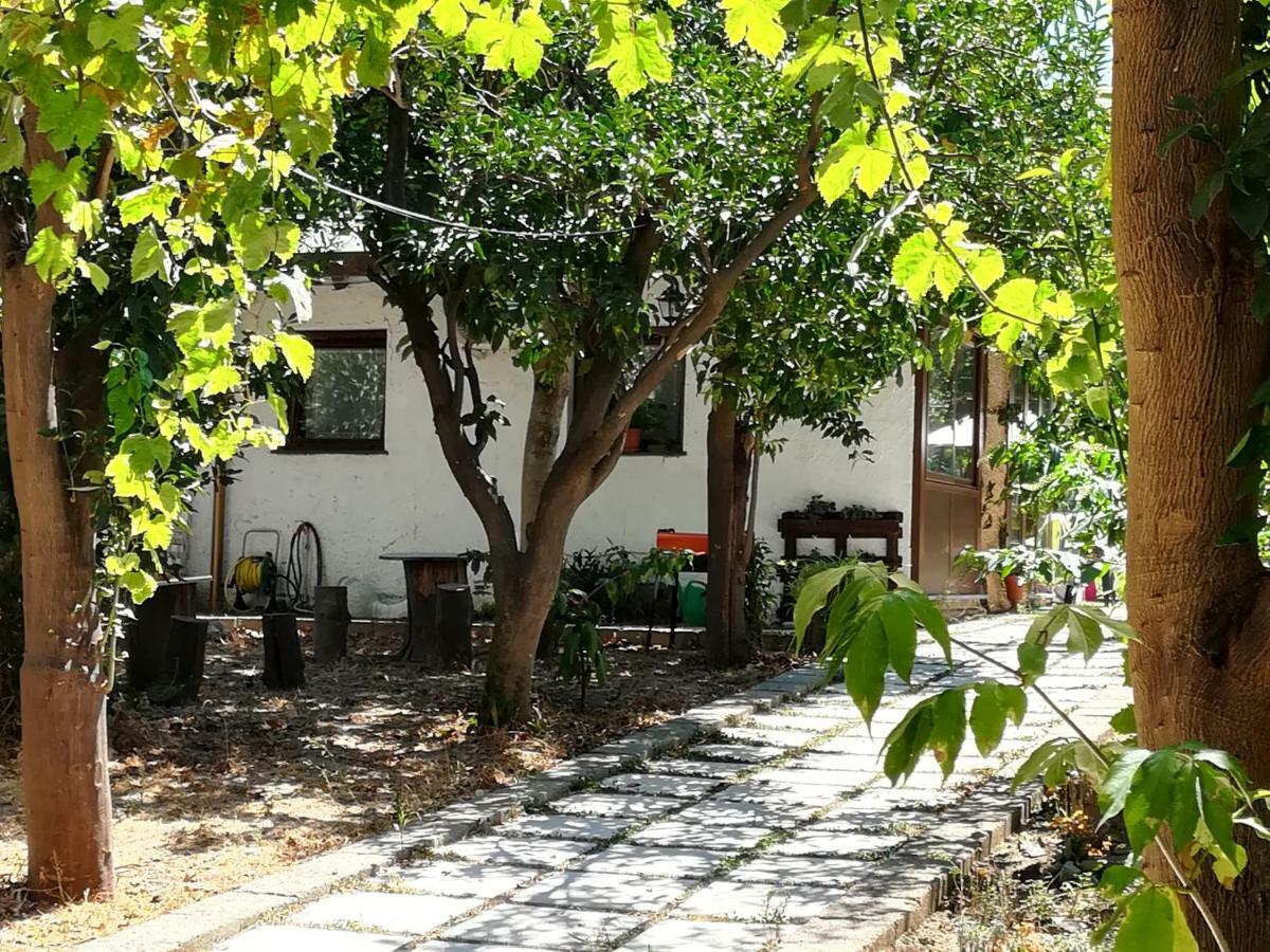 Bed and Breakfast Villino L'Aranceto Sorrentino Meta Exterior foto