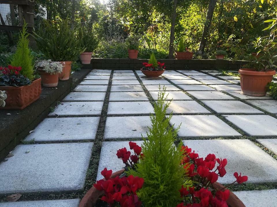 Bed and Breakfast Villino L'Aranceto Sorrentino Meta Exterior foto